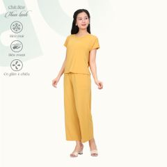 Set đồ bộ nữ kiểu quần dài tay ngắn chất thun lạnh siêu bền 013p 6100