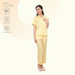 Set đồ bộ nữ kiểu quần dài tay ngắn pijama 263p 3383