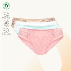 Combo 02-06-10 quần lót nữ chất cotton siêu mát 027p 7250