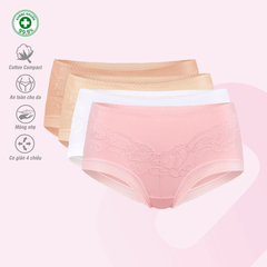 BST Combo 02-06-10 Quần lót nữ chất Cotton siêu mát 027p 7245 / 7246 / 7247 / 7248 / 7249 / 7250 / 7251 / 7253 / 7254
