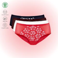 BST Combo 02-06-10 Quần lót nữ chất Voal Lưới siêu thoáng 077p 7263 / 7265 / 7267