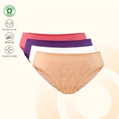 BST Combo 02-06-10 Quần lót nữ chất Thun lạnh siêu bền 017p 7256 / 7257 / 7258 / 7259 / 7260 / 7261 / 7269 / 7271 / 7298 / 7369