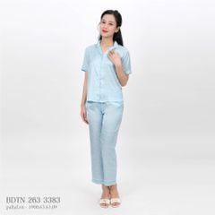 Set đồ bộ nữ kiểu quần dài tay ngắn pijama 263p 3383