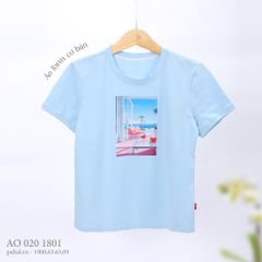 Áo thun nữ tay ngắn chất cotton siêu mát form basic 020p 1801