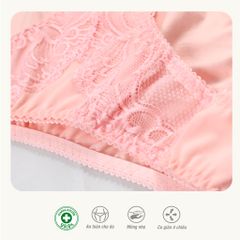 BST Combo 02-06-10 Quần lót nữ chất Cotton siêu mát 027p 7245 / 7246 / 7247 / 7248 / 7249 / 7250 / 7251 / 7253 / 7254