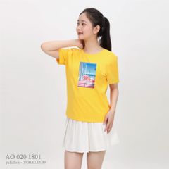 Áo thun nữ tay ngắn chất cotton siêu mát form basic 020p 1801