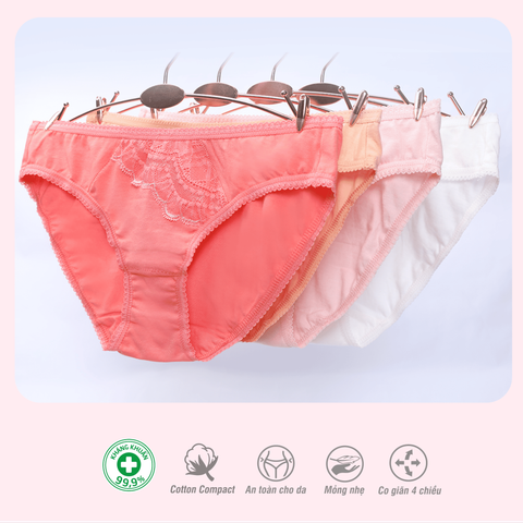 Combo 02-06-10 quần lót nữ chất cotton siêu mát 027p 7248