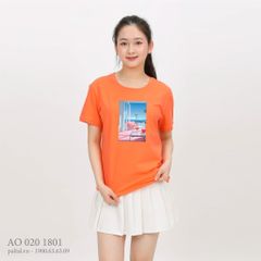 Áo thun nữ tay ngắn chất cotton siêu mát form basic 020p 1801