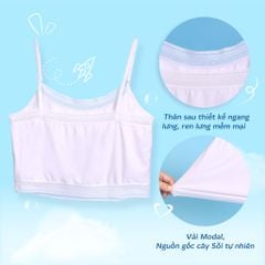 Áo lá học sinh - cotton compact mỏng nhẹ 209p 8886