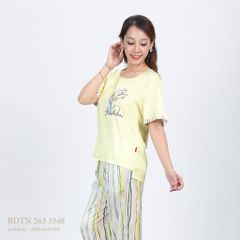 Set đồ bộ nữ kiểu quần dài tay ngắn chất lụa nhung 263p 3348