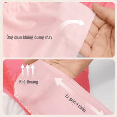 Combo 02-06-10 quần lót nữ chất thun lạnh siêu bền 017p 7369