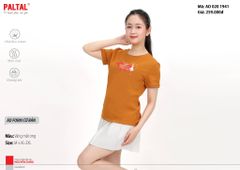 Áo Thun Tay Ngắn Cotton Form Cơ Bản 020p 1941