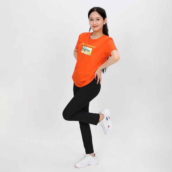 Áo thun tay ngắn form suông cotton 020p 0284