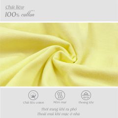 Áo thun tay ngắn cao cấp cotton form rộng 020p 0227