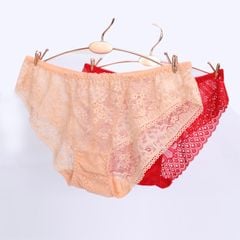 Combo 02-06-10 quần lót nữ Ren 087p 7384