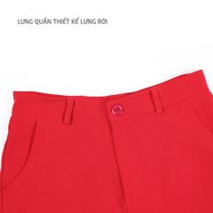 Quần dài form suông chất LYOCELL QD 578p 8523