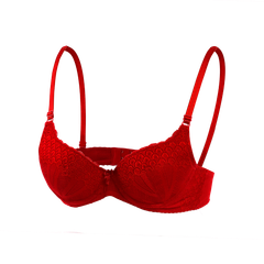 Áo lót ngực cup trung ren 106p 8806