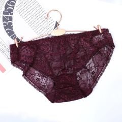 quần lót nữ ren nữ 087p 8550