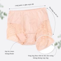 quần lót nữ chất thun lạnh siêu bền 017p 8654