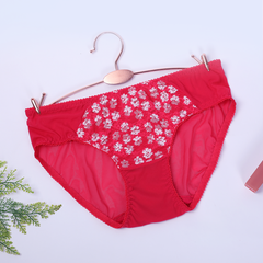 Combo 02-06-10 quần lót nữ voal lưới 077p 7265