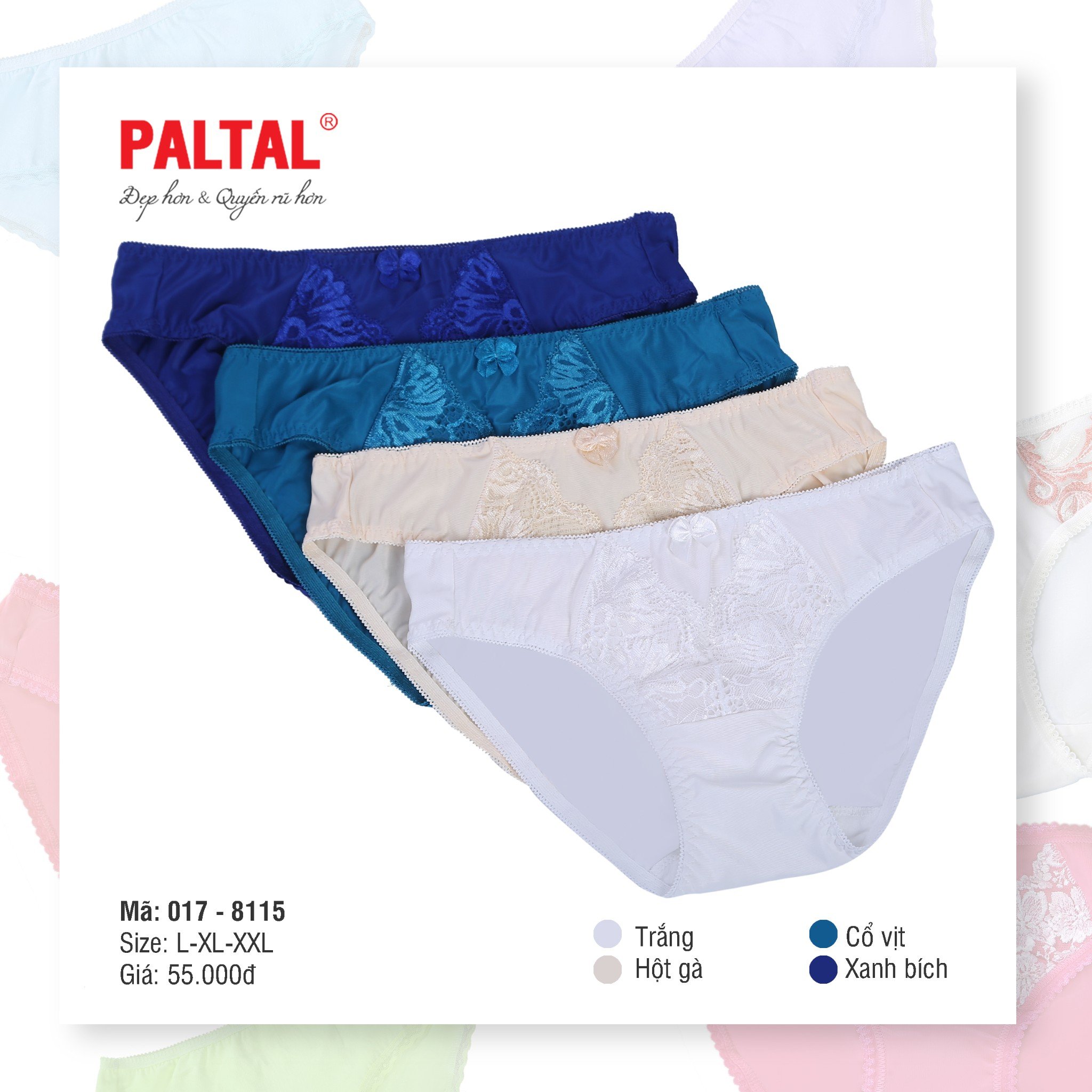 Combo 6 quần lót cao cấp paltal ql 017p 8115