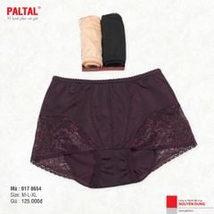 quần lót nữ chất thun lạnh siêu bền 017p 8654