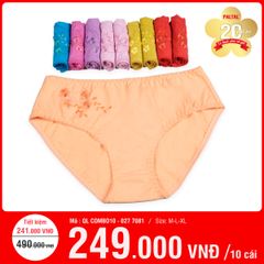 Combo 10 Quần Lót Nữ Cotton 027p 7081