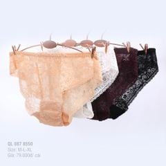 quần lót nữ ren nữ 087p 8550