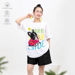 .Áo thun nữ Freesize chất cotton siêu mát 020p 1718