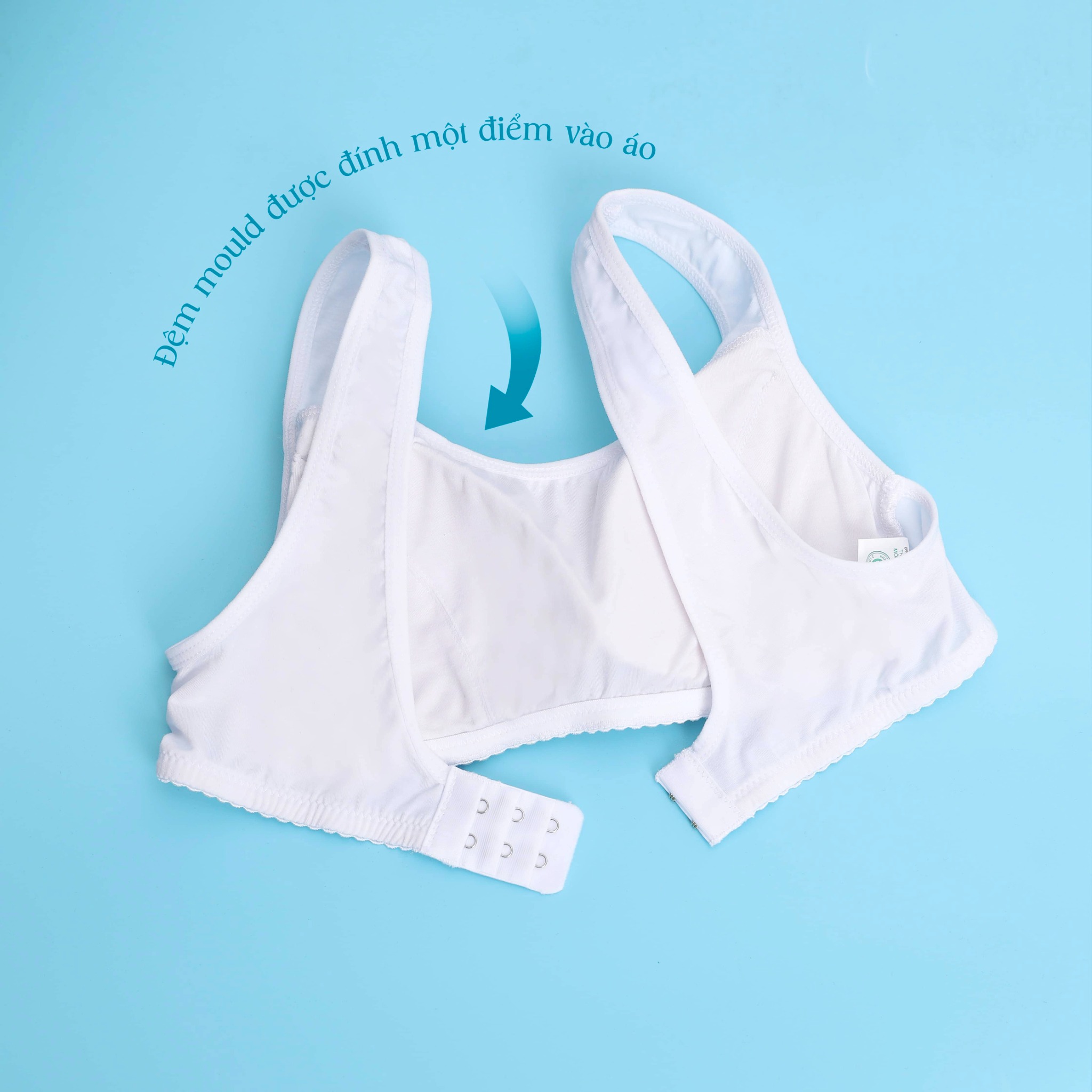 ÁO LÁ HỌC SINH KHÁNG KHUẨN CAO CẤP PALTAL ALHS 209 8883