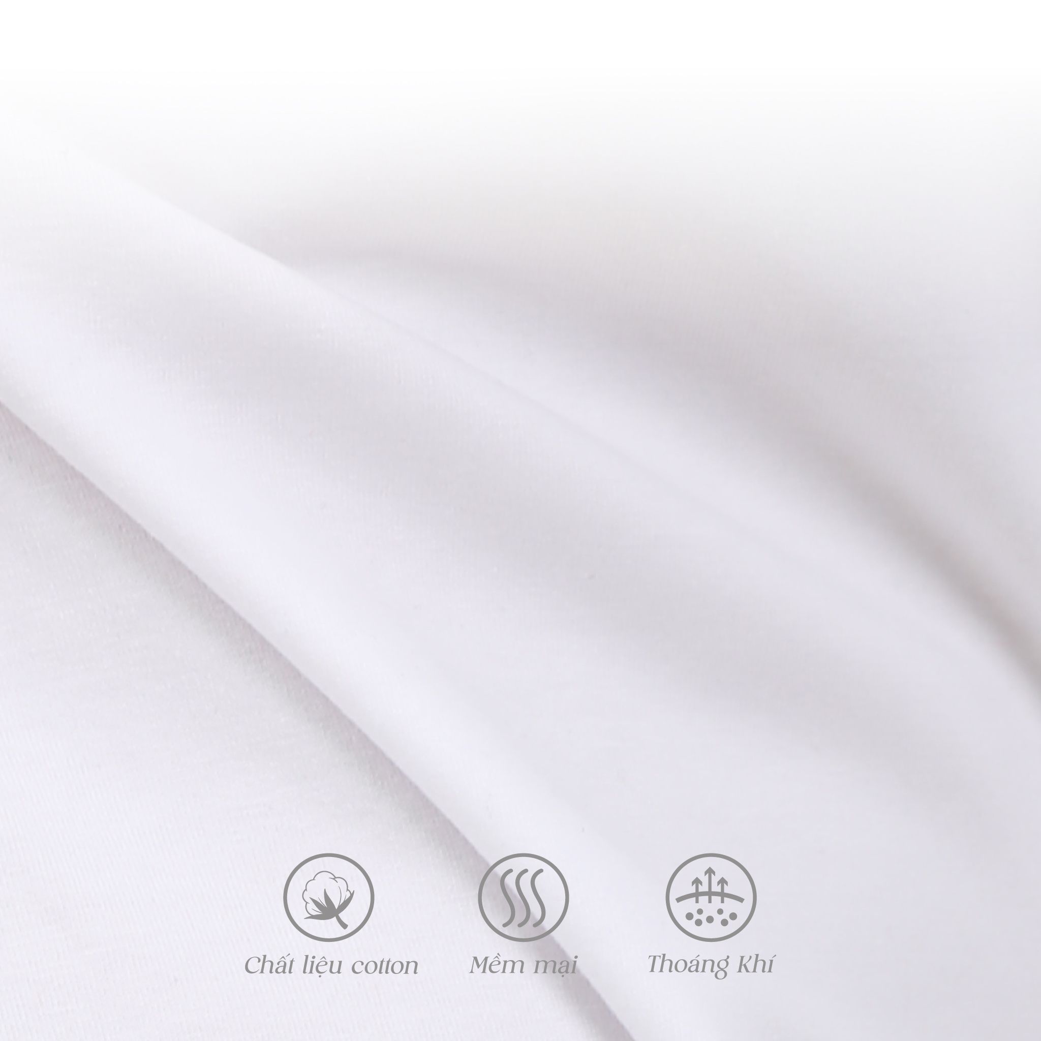 Set đồ bộ nữ kiểu quần đùi tay ngắn chất cotton siêu mát 195p 5217