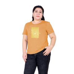 Áo thun nữ tay ngắn big size cotton cvc mát 190p 0187