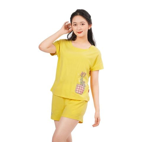 Set đồ bộ nữ kiểu quần đùi tay ngắn cotton cvc mát 195p 5100
