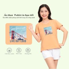 Áo thun nữ form suông cổ tim chất cotton siêu mát 190p 0326