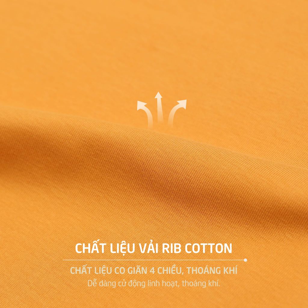 Áo Thun Tay Dài  Cổ Tiim Chất Rip Cotton 220p 0273