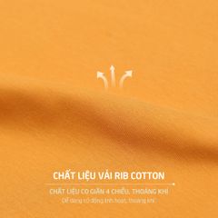 Áo thun nữ tay dài  Cổ Tiim chất Rip chất cotton siêu mát 220p 0273