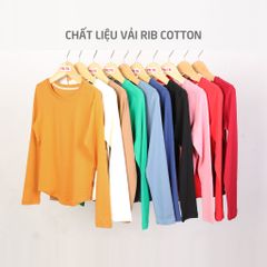 Áo Thun Tay Dài  Cổ Tiim Chất Rip Cotton 220p 0273