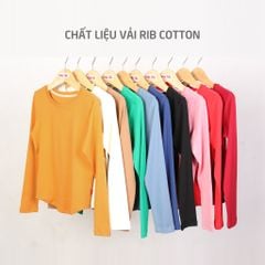 Áo thun tay dài form suông cổ tròn chất RIB Cotton cao cấp 220p 0272