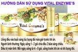  Vital enzyme's 