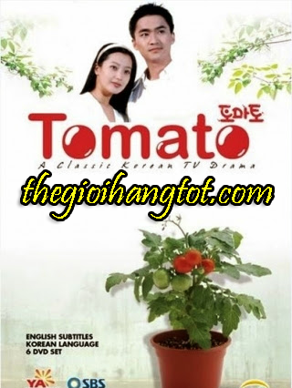  Tình cờ - Tomato 