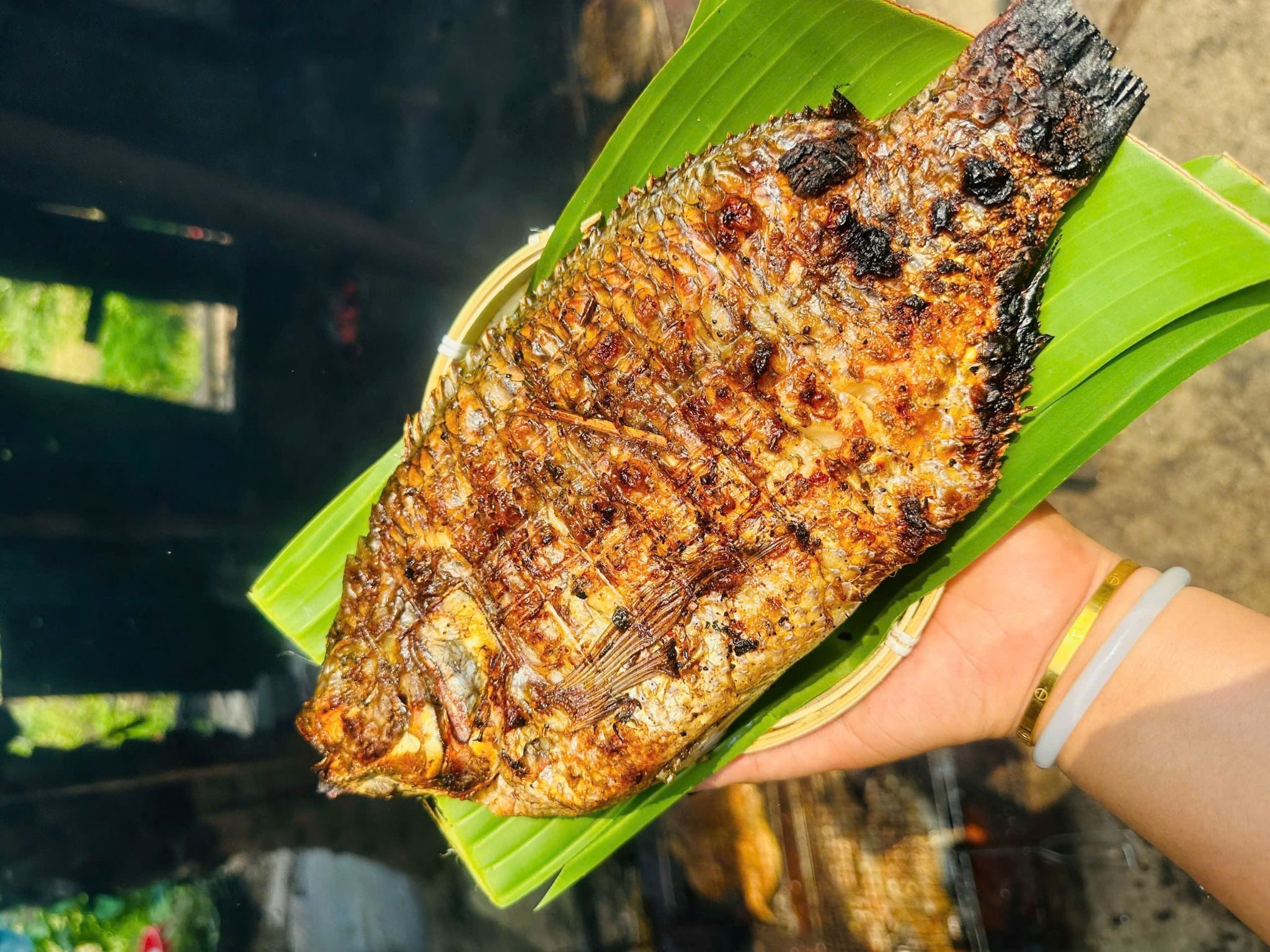 Cá Nướng ( pa pỉnh tộp ) rophi | Đặc Sản Tây Bắc