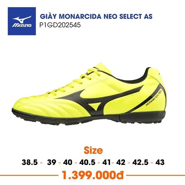monarcida neo select as