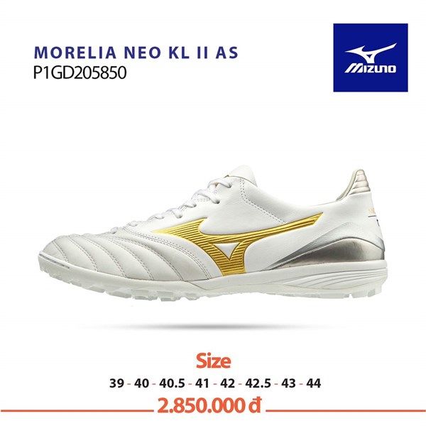 morelia neo tf