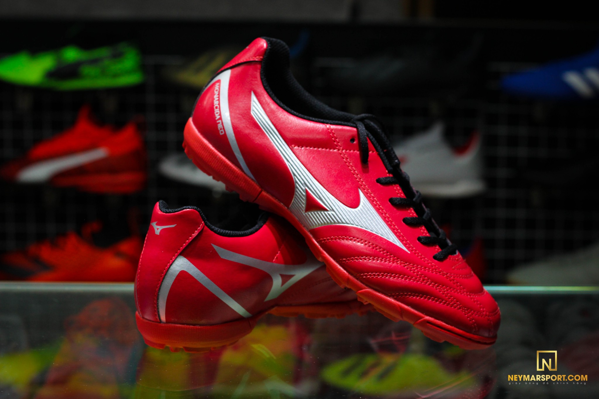 monarcida neo select as