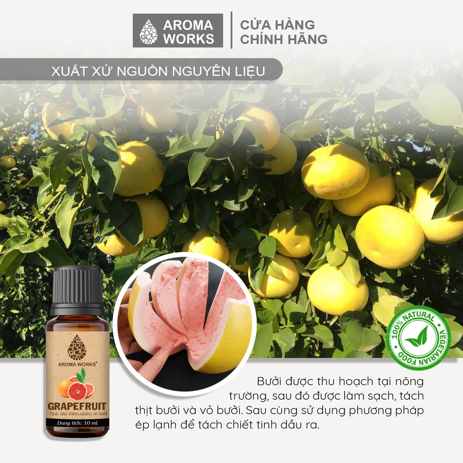 Tinh Dầu Bưởi Thiên Nhiên Thơm Phòng, Kích Thích Mọc Tóc, Dưỡng Tóc Aroma Works Grapfruit