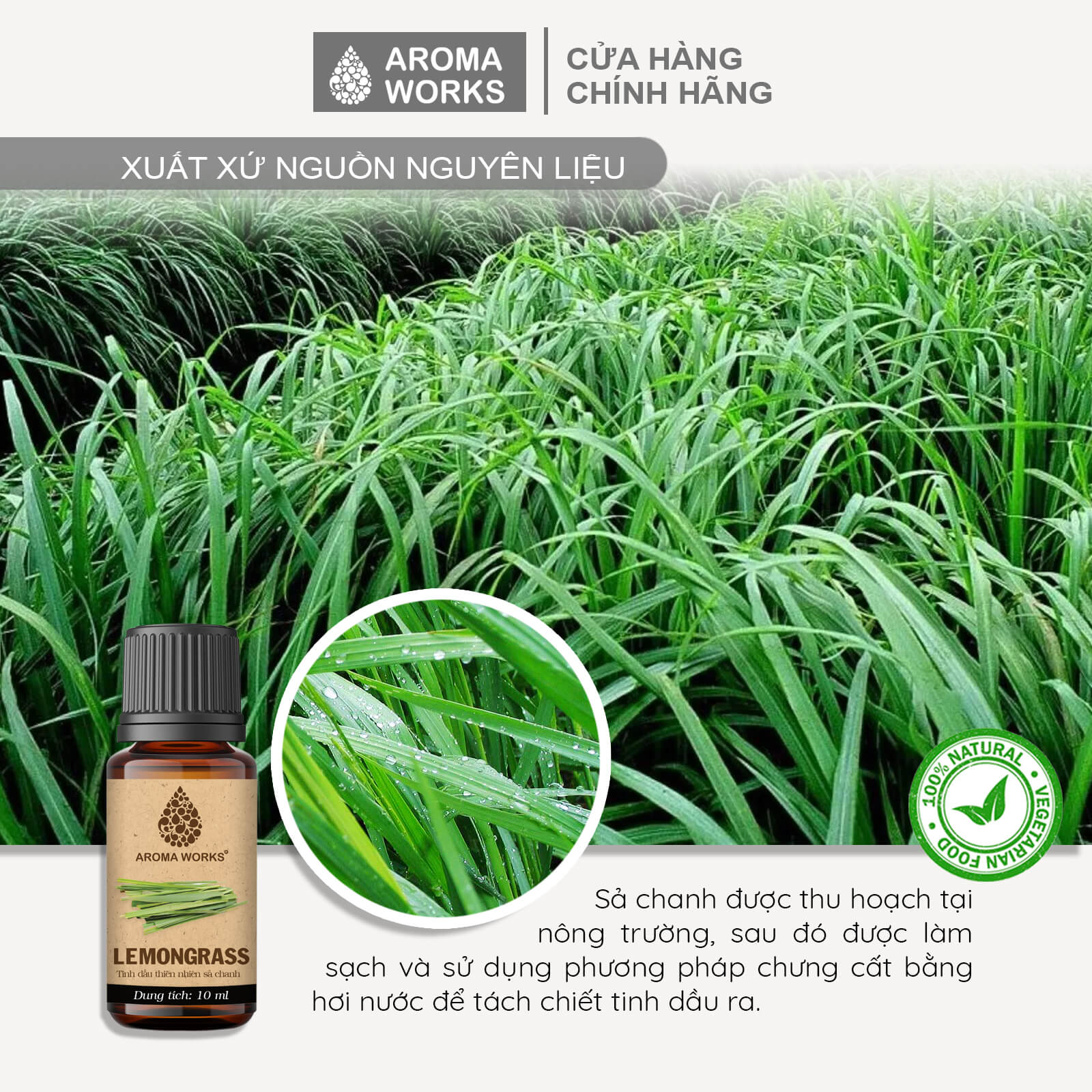 Tinh Dầu Sả Chanh Xông Phòng, Dễ Ngủ, Khử Mùi, Đuổi Muỗi, Thanh Lọc Không Khí Aroma Works Lemongrass