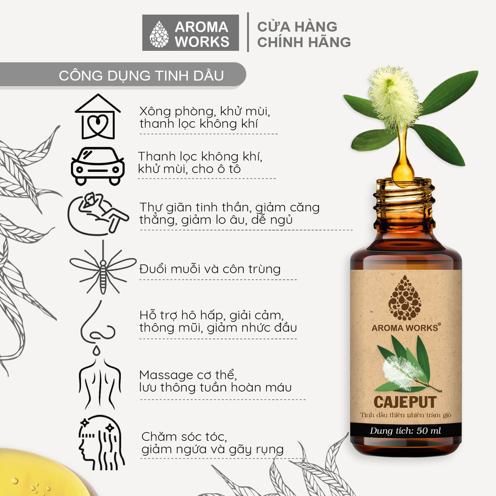 Tinh Dầu Tràm Gió Xông Phòng, Đuổi Muỗi, Khử Mùi, Giải Cảm Aroma Works Cajeput