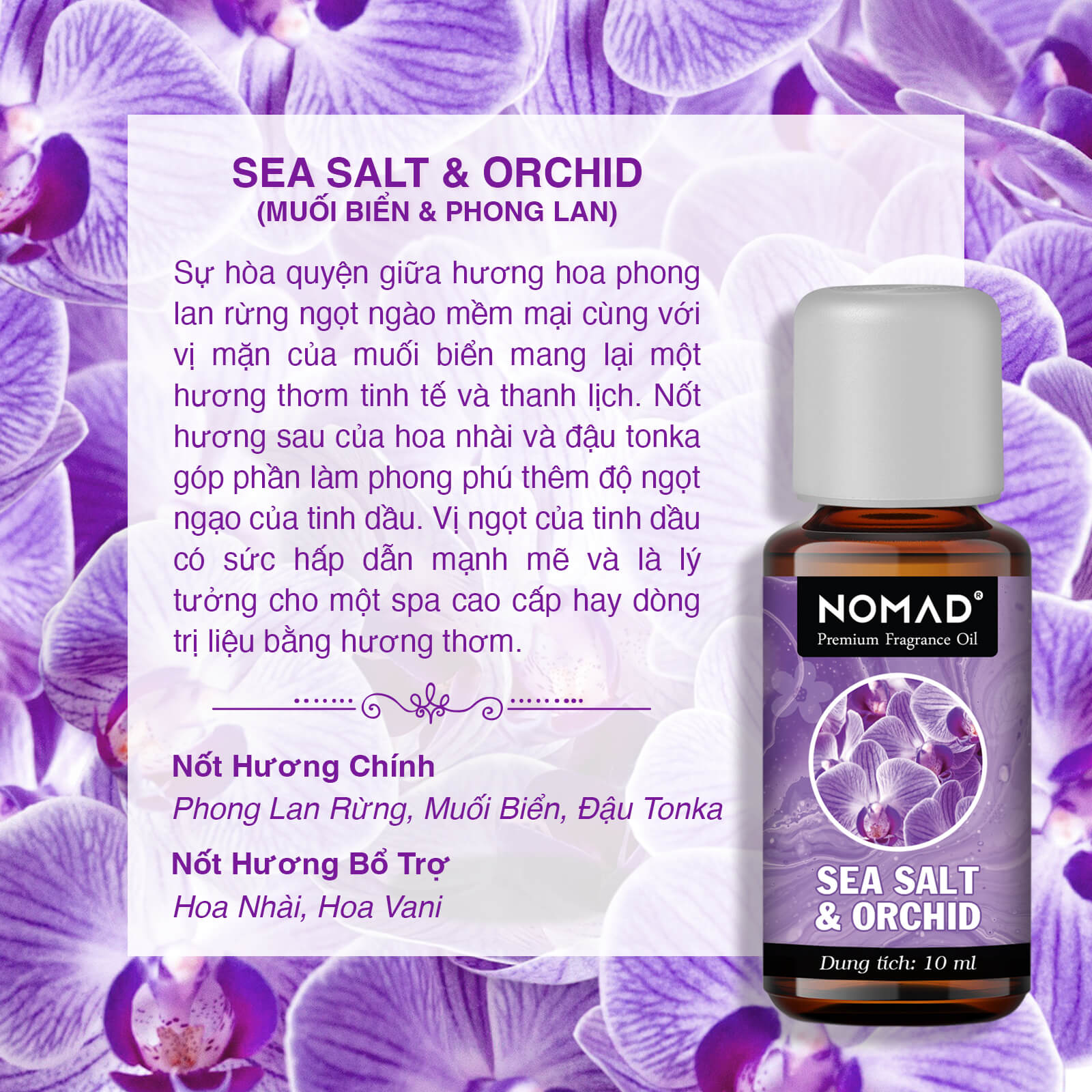 Tinh Dầu Thơm Xông Phòng Nomad Premium Fragrance Oil - Sea Salt & Orchid (Muối Biển & Phong Lan)