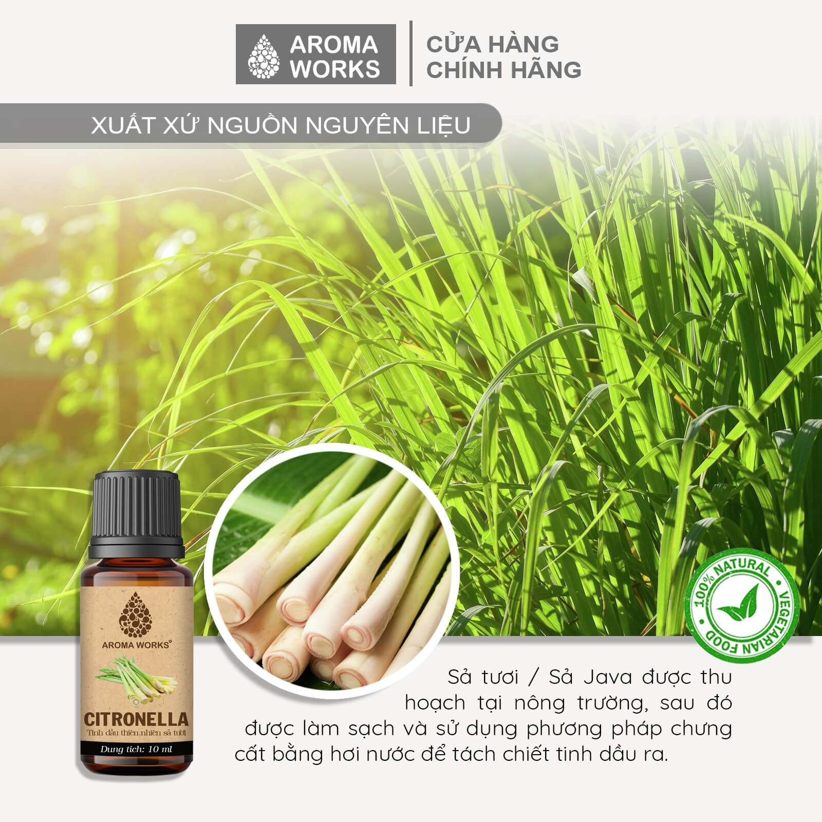 Tinh Dầu Sả Tươi / Sả Java Xông Phòng, Dễ Ngủ, Khử Mùi, Thanh Lọc Không Khí Aroma Works Citronella