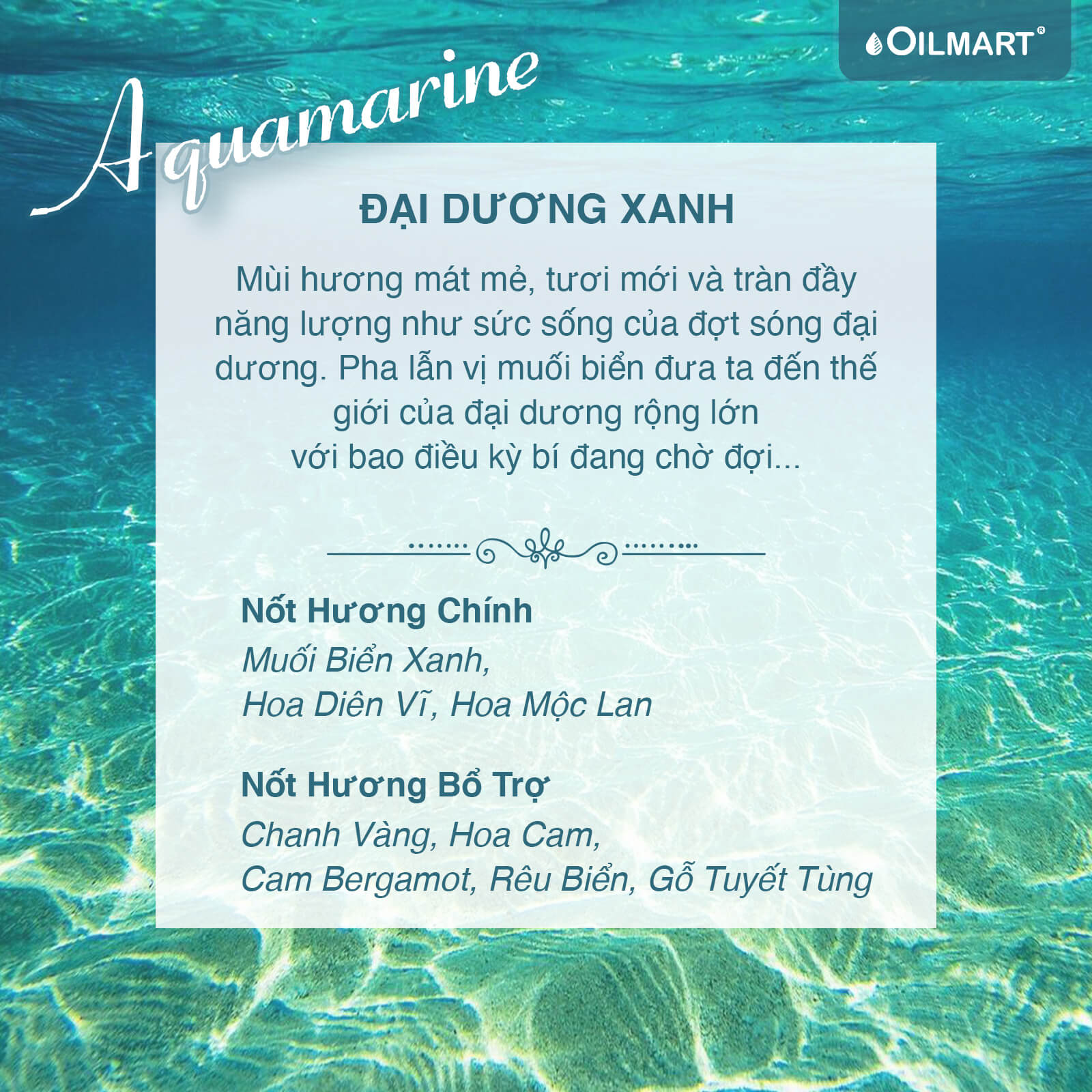 Tinh Dầu Thơm Đại Dương Xanh Oilmart Aquamarine Essential Oil Blend